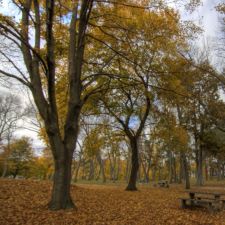 Landscape  2009 10 31b