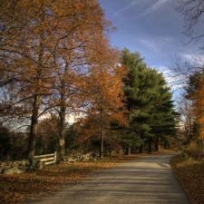 Landscape  2009 11 01b